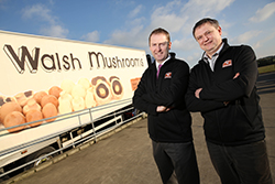 Walsh Mushrooms acquires Golden Mushrooms in positive move for Irish mushroom industry